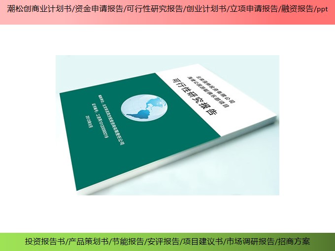 中山市企业项目融资报告书 如何编制 创业报告
