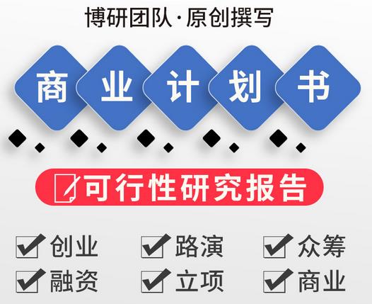 南京市企业项目融资报告书 撰写公司 创业报告