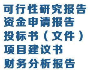 南京市企业项目融资报告书 代写单位 投资报告