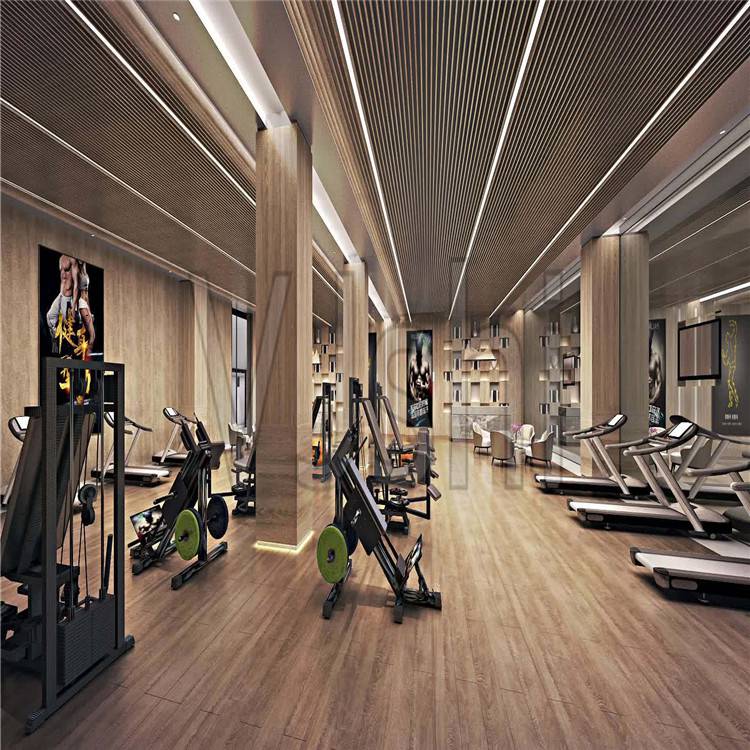 跃羚室内健身房器材 健身房商用跑步机 磁控单车