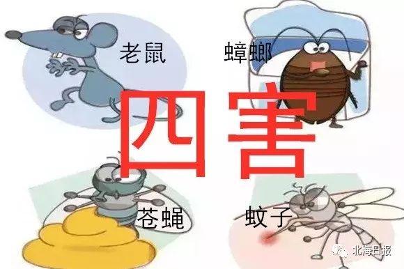 昆明病媒生物防治公司