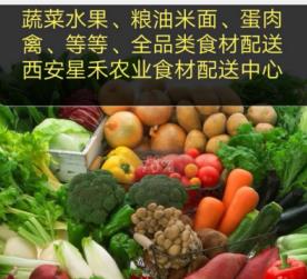 西安蔬菜配送-粮油蔬菜配送新鲜方便快捷