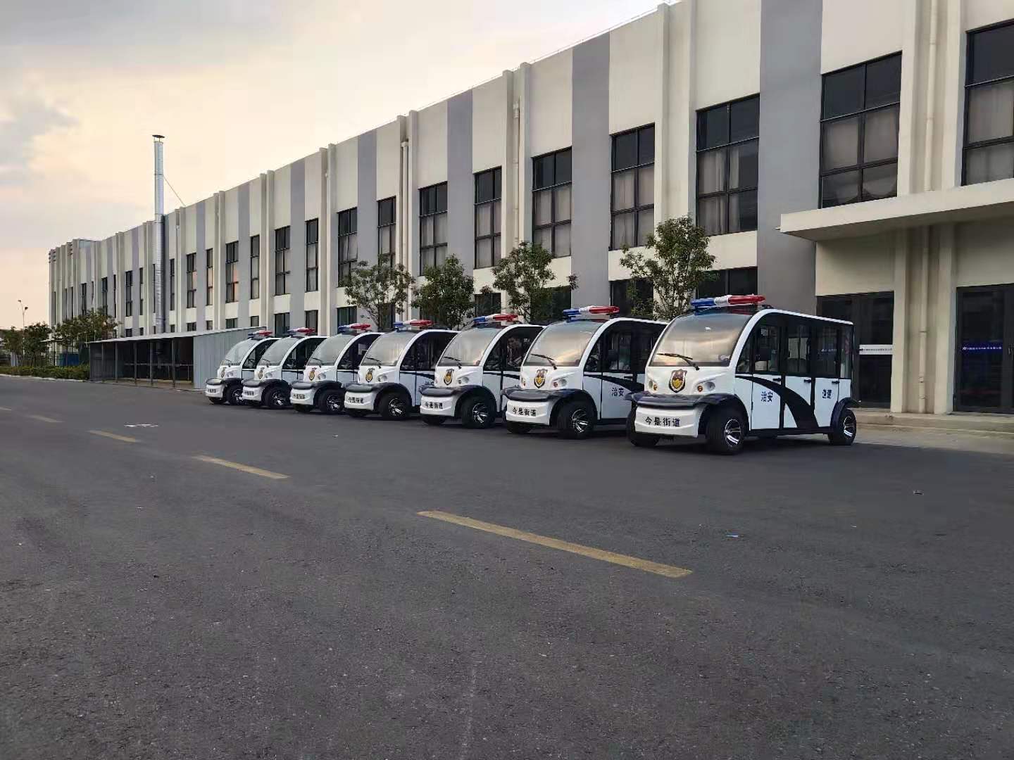 电动全封闭电动*车 安全舒适