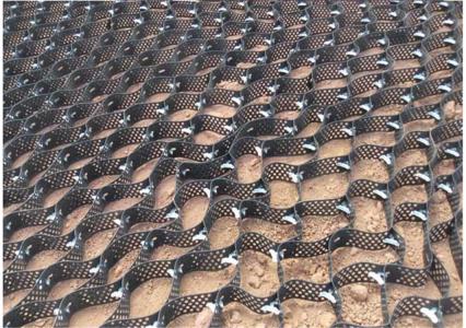 高強蜂巢土工格室 天津焊接土工格室生產廠家 長期供應