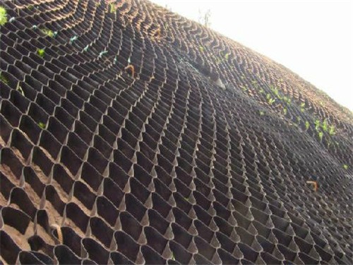三維立體土工格室 湛江護坡土工格室施工方法 長期供應