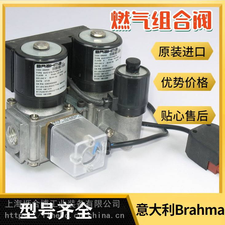 Brahma电磁阀 EG12燃气电磁阀 坜合博一级代理商