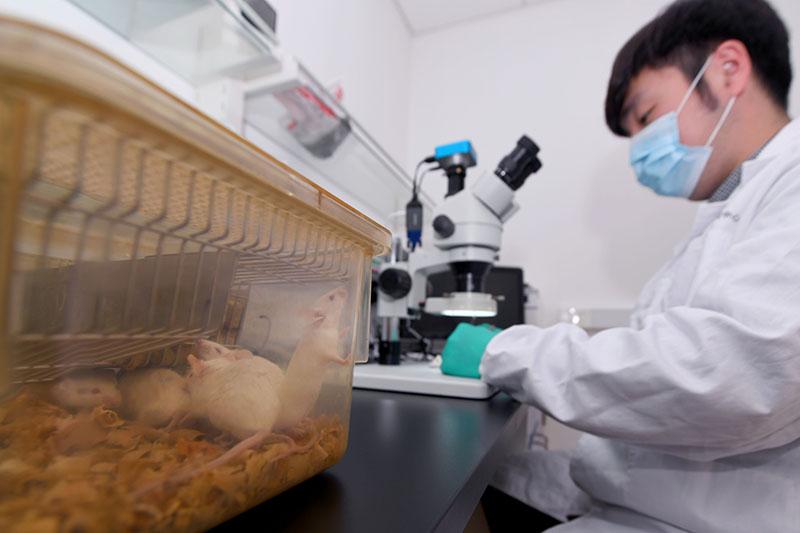 无菌生物安全实验室洁净室检测验收机构_产品威科检测