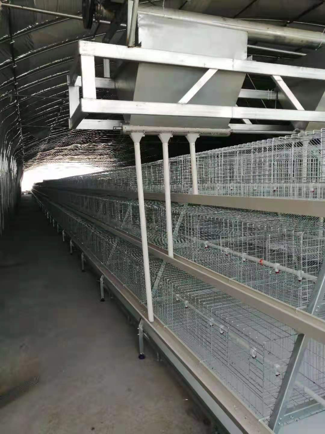 蛋鸡自动喂料机设备 中洲牧业