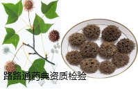 中草药资源开发研究检测中心-路路通药典资质检验