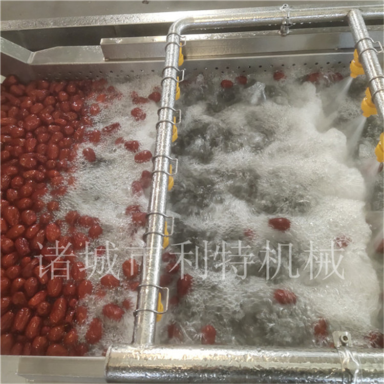 新疆大型葡萄干加工生产线