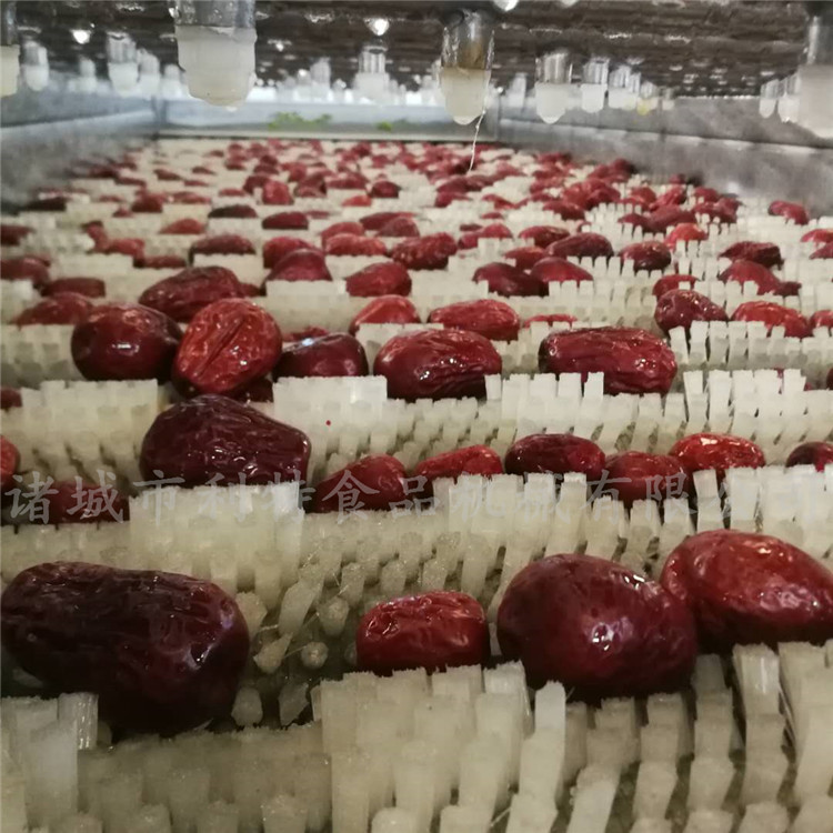 红枣加工生产线 节省人工 浙江大型红枣加工机械