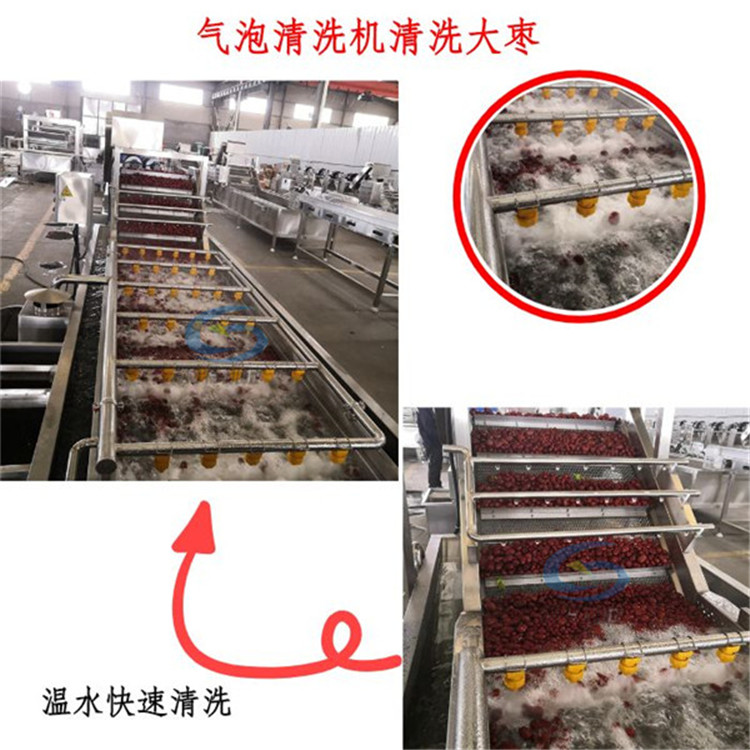 大型葡萄干加工生产线推荐 红枣清洗加工设备 自动化