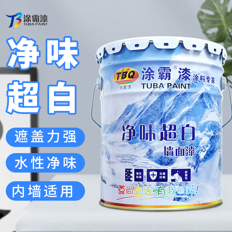 广东墙面乳胶漆多少钱一平方,乳胶漆厂家直销环保耐用