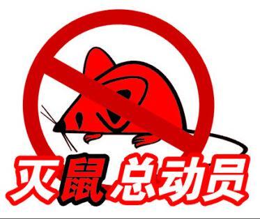 深圳灭鼠服务 深圳市天喜有害生物防治有限公司