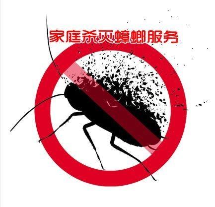 深圳市南山区灭蟑螂团队 服务至上