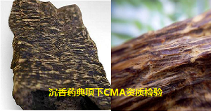 沉香中国药典项下CMA资质检验 沉香有效成分沉香四醇含量