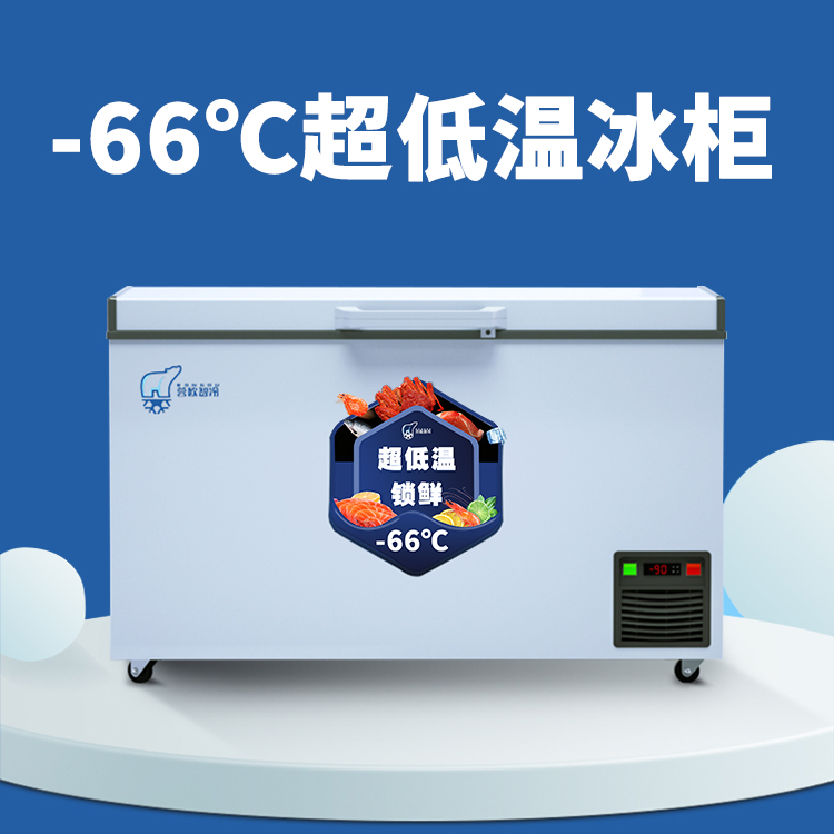 低温冰柜零下-66℃度冰柜可定制