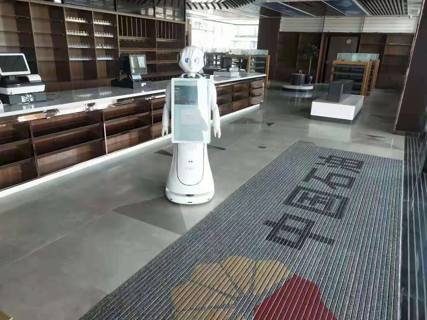 新疆展馆机器人