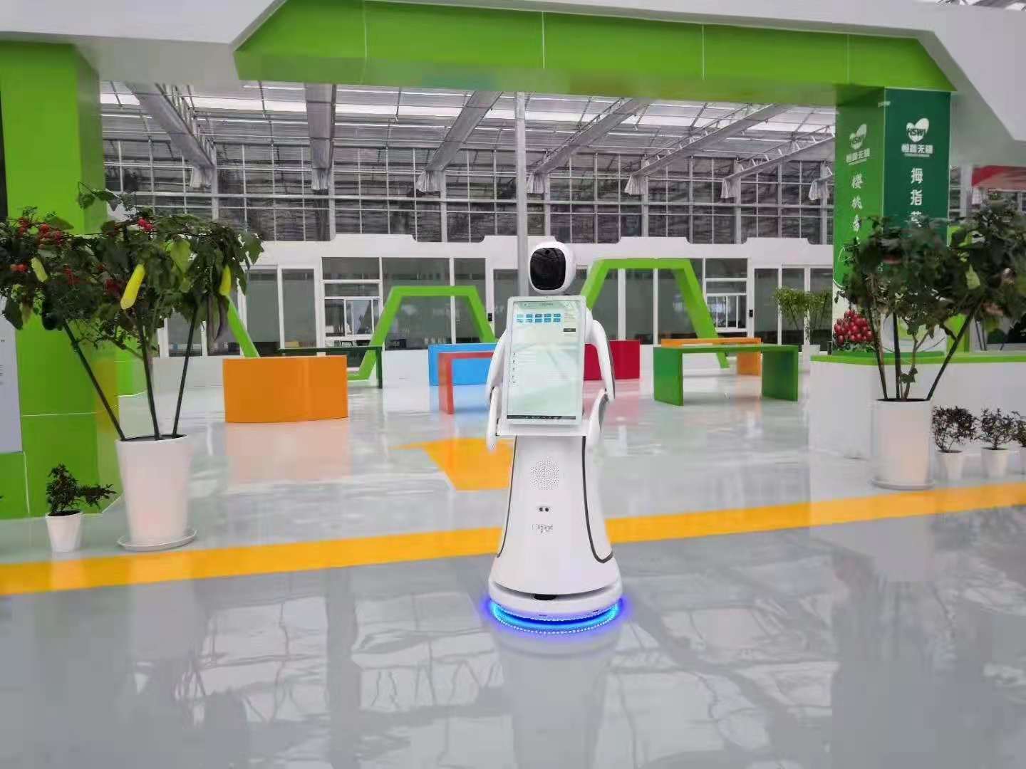潍坊展馆讲解机器人接待服务