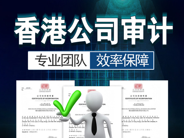 中国香港公司的审计报告有哪几种意见？