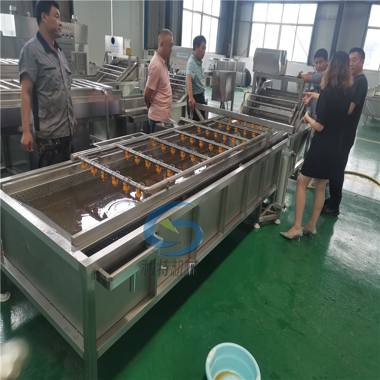 哈尔滨大型果蔬清洗机 蔬菜清洗机 利用循环水