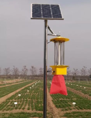 河北玉米地3米20瓦太阳能杀虫灯厂家报价