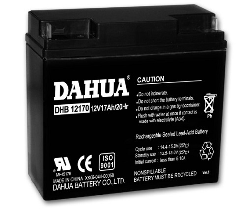 DAHUA大华蓄电池DHB121000阀控式铅酸12V100AH直流屏配套电池