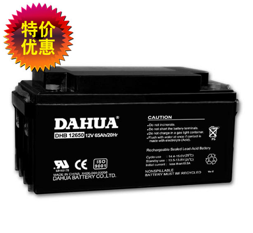 DAHUA大华蓄电池DHB12150/12V150AH机房配套电池