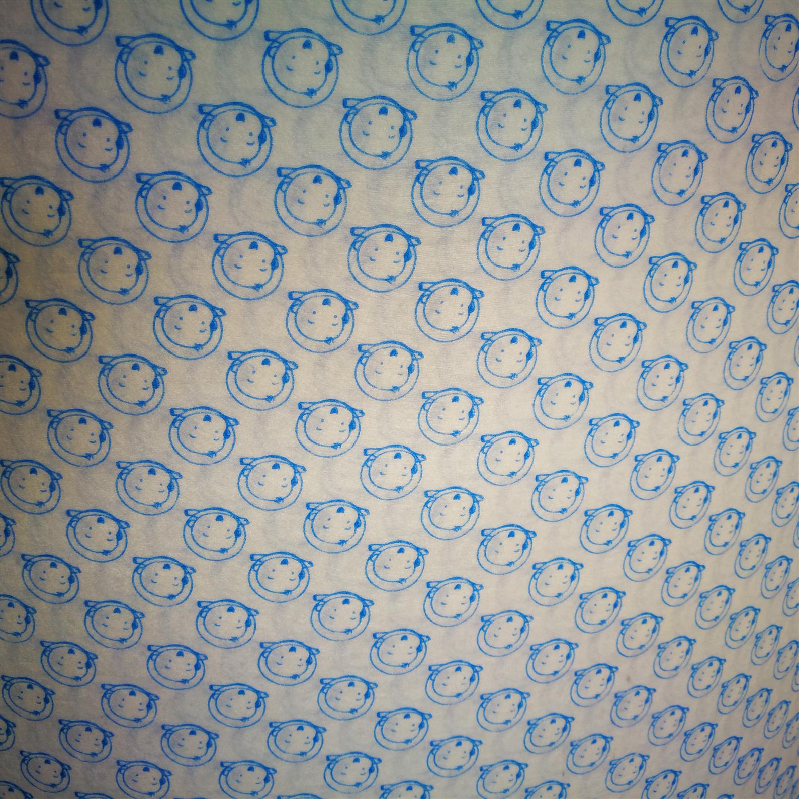 濕抹布水刺無紡布公司