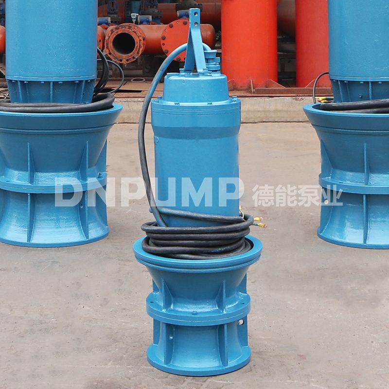 德能泵业轴流泵引水工程CE认证
