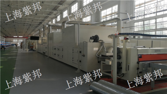 广东涂漆线设备生产 服务为先 上海紫邦科技供应