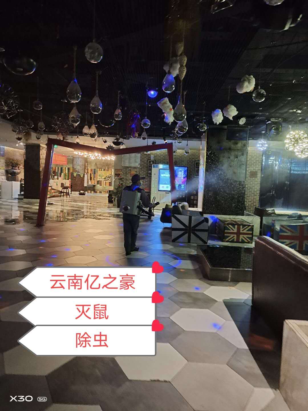 社区除四害培训