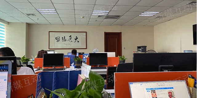 红桥区靠谱的网络优化报价方案 天津新媒互动科技供应