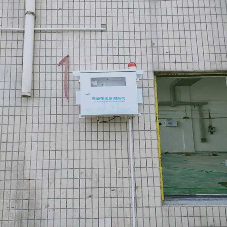 莱芜恶臭气体在线监测站 厂界恶臭全天候监测仪