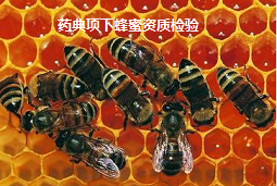 中国药典项下蜂蜜资质检验 蜂蜜农药残留检验 蜂蜜含量的测定 蜂蜜果糖和葡萄糖含量的测定 蜂蜜果糖和葡萄糖含量的测定 蜂蜜质量检验