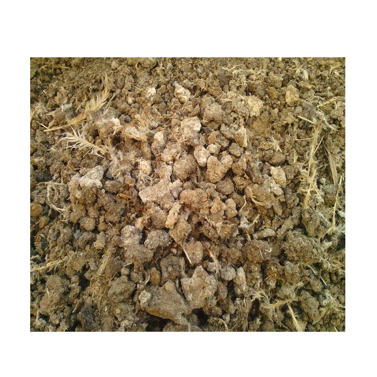 金沃地晾干鸡粪,安徽淮北销售金沃地干鸡粪质量可靠