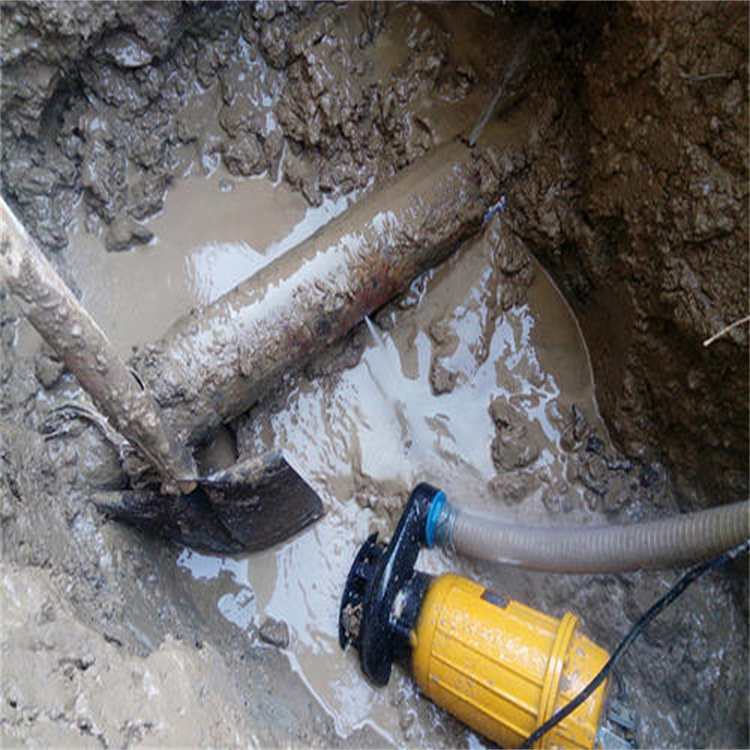 埋地暗管渗水检测公司 现场维修