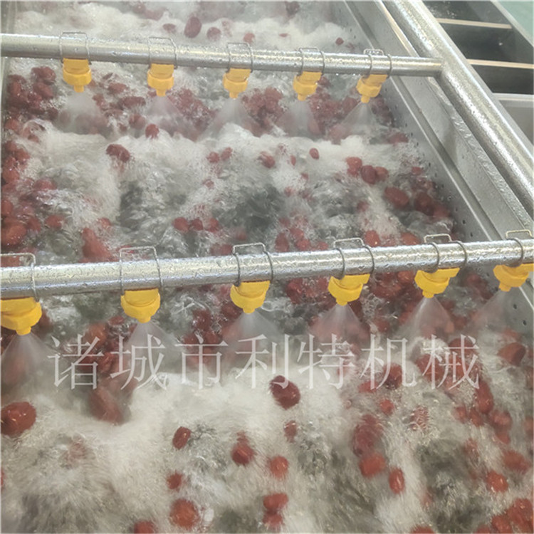 甘肃不锈钢红枣加工设备 自动化 红枣加工生产线