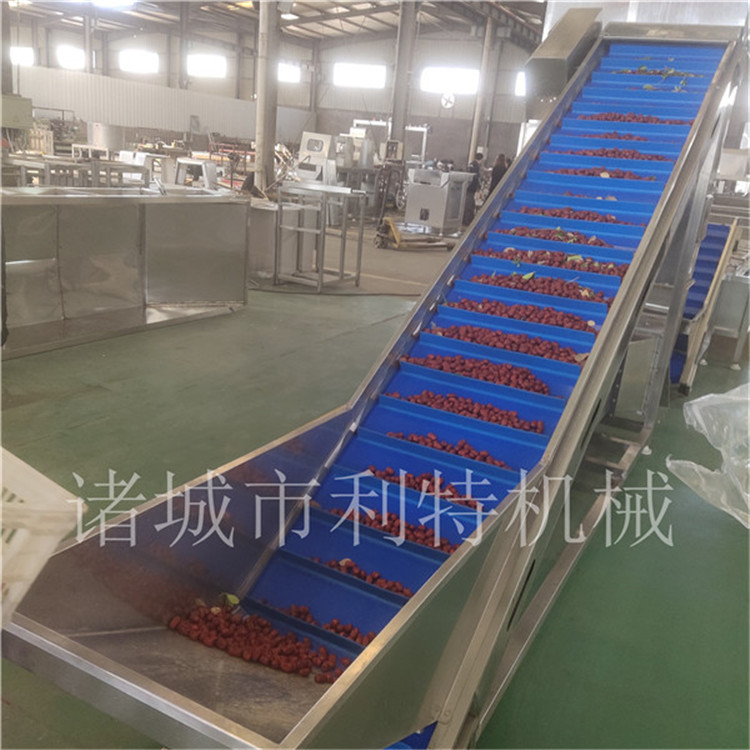 新疆大型红枣加工机械