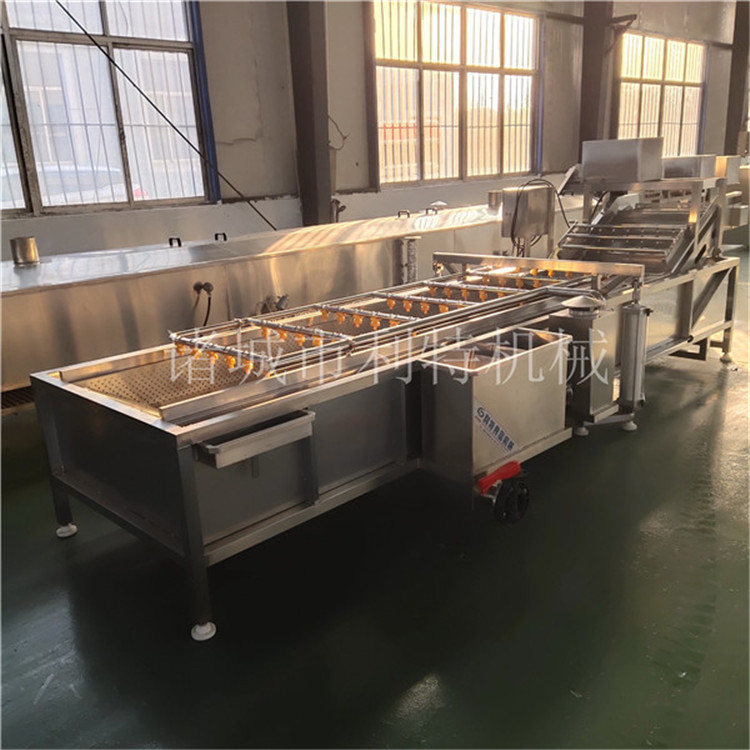 红枣清洗加工设备 自动化 小型红枣加工机械厂家