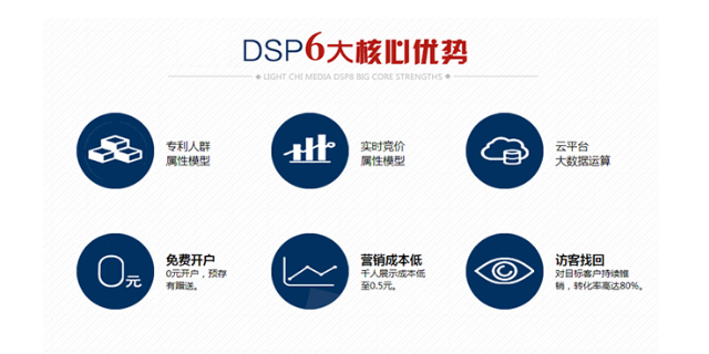 东川区正规DSP广告投放品质** 欢迎来电 云南智投互动网络科技供应