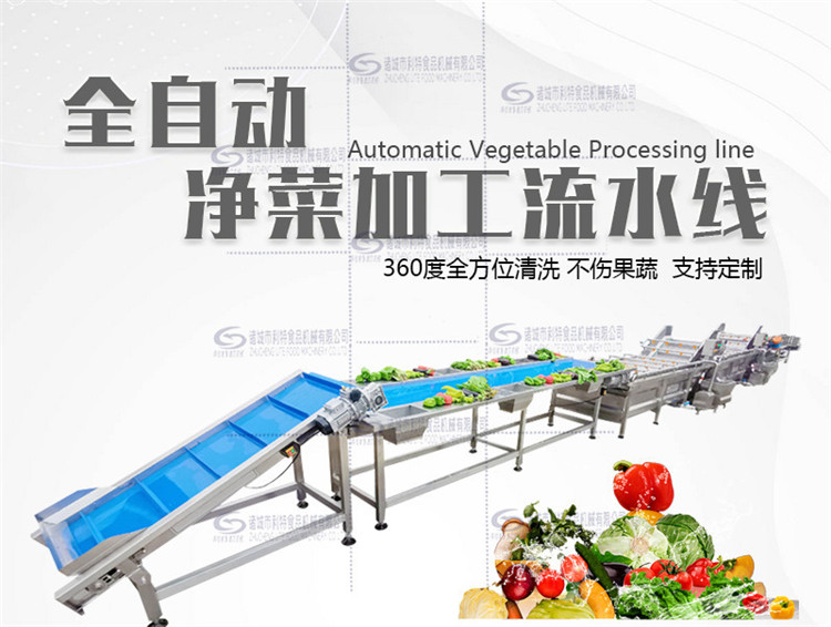 诸城利特生产净菜加工生产线 蔬菜涡流清洗机 蔬菜深加工设备