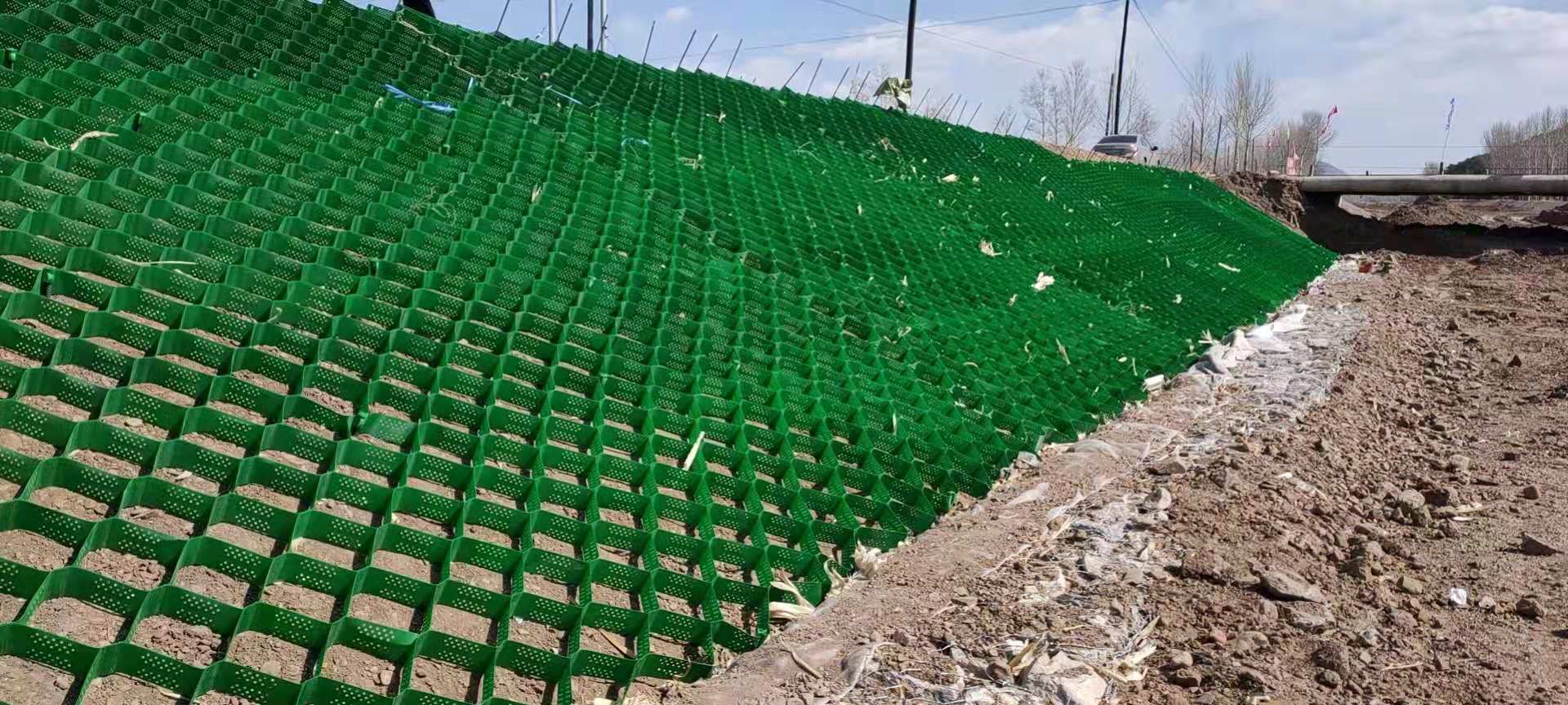 高分子蜂巢土工格室生态护坡河道护岸应用