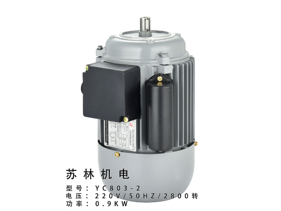 台州非标定制双值电容电动机 服务为先 台州苏林机电供应