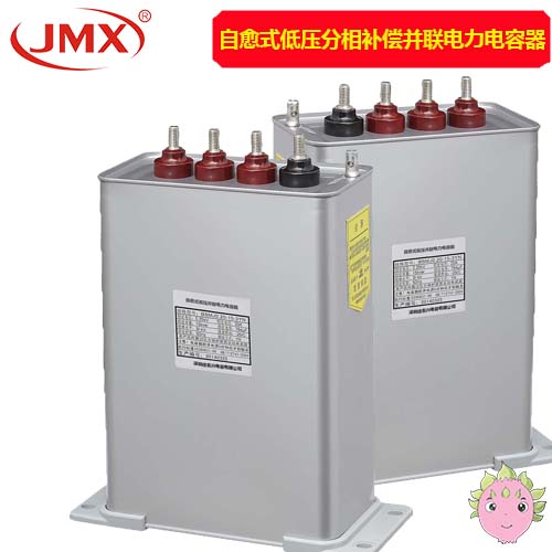自愈式低压分相补偿并联电力电容器_BSMJ0.20-15-3YN