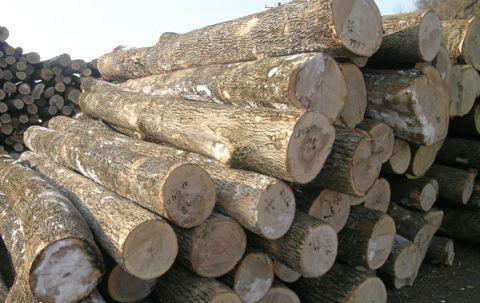 巴劳木板材加工定制，巴劳木地板， 精品进口防腐木