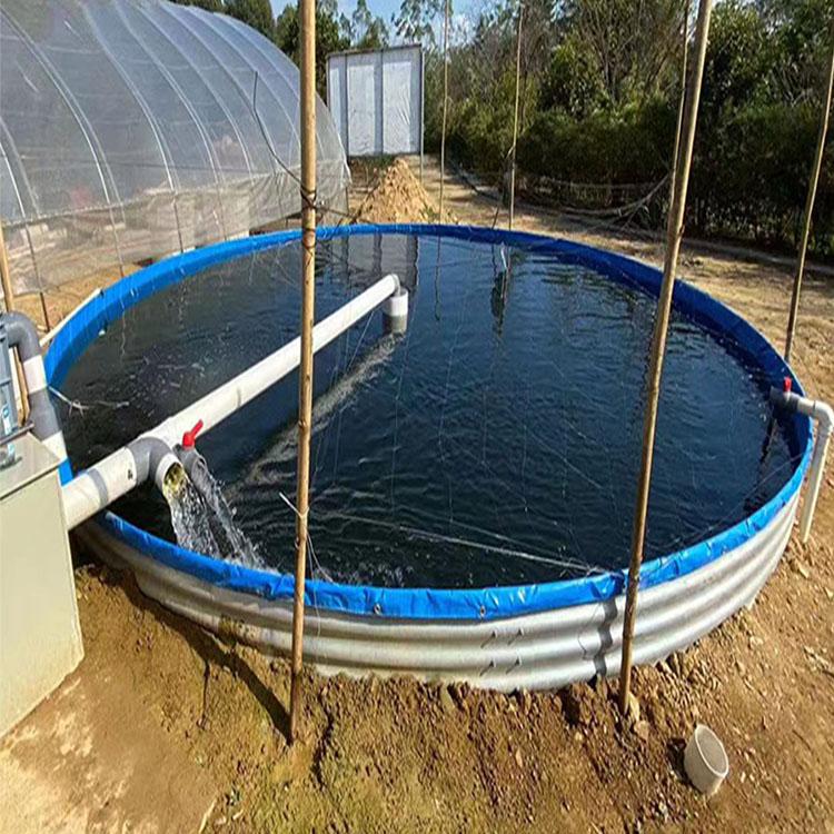 池塘魚飼料 賀州噴泉魚池