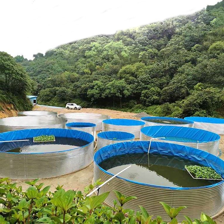塑料鱼池 永州鱼池水污