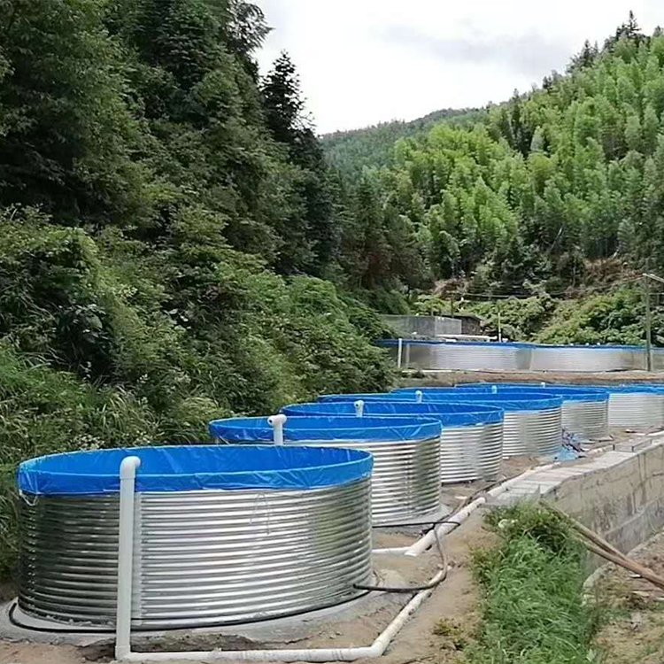 鱼池水处理设备 贵州鱼池清淤