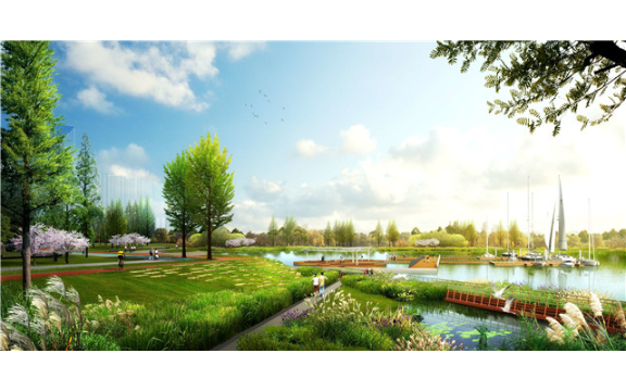 常州运动公园设计费用 上海美觉景观规划设计供应